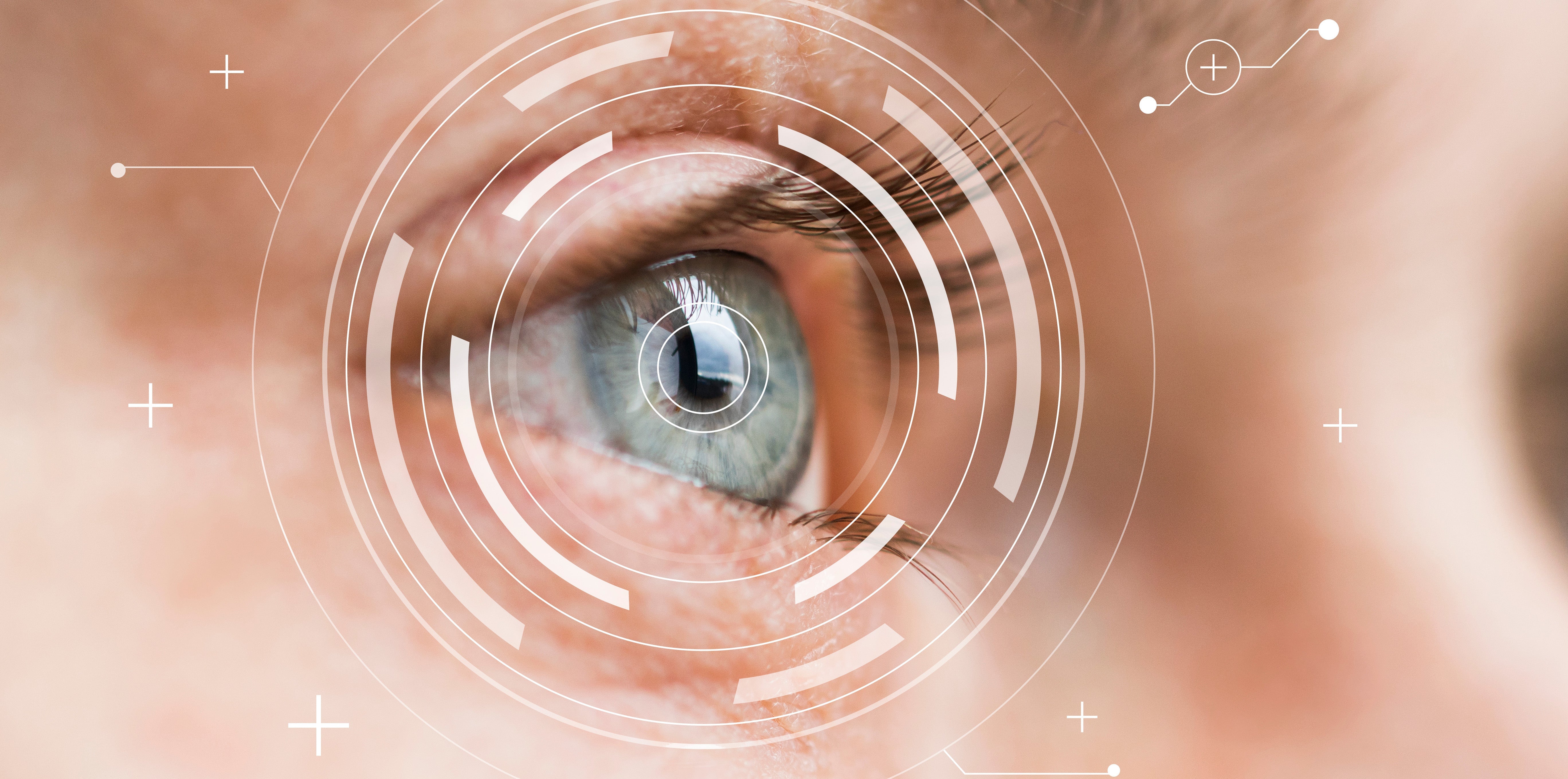 Augen &  Sehkraft